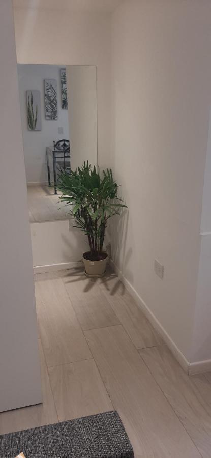 Coqueto Loft Palermo Hollywood Διαμέρισμα Μπουένος Άιρες Εξωτερικό φωτογραφία